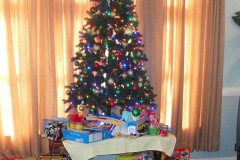 2011 Roane  Consulting Toy Drive