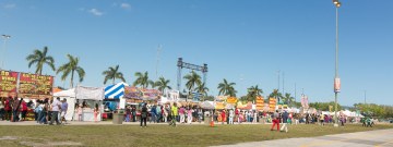 2017 Jazz in the Gardens  Music Festival