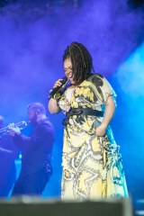 2017 Jazz in the Gardens  Music Festival