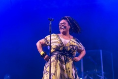 2017 Jazz in the Gardens - Day One